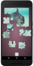 Real Dolphins Game : Jigsaw Puzzle 2019 Image