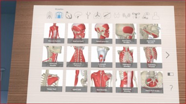 3D Organon VR Anatomy 2018 Image