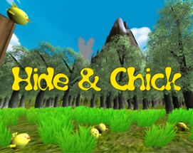 Hide & Chick Image