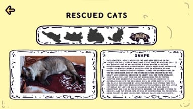 Purrfect Rescue Image