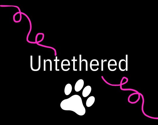 Untethered Game Cover