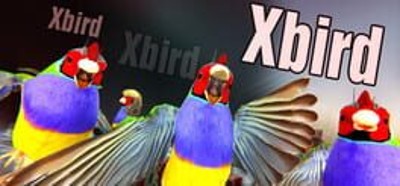 Xbird Image