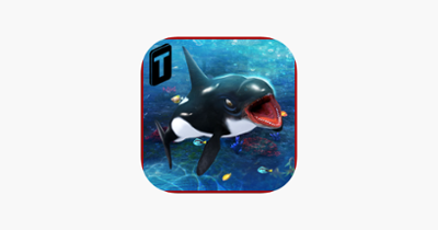 Killer Whale Beach Attack 3D Image