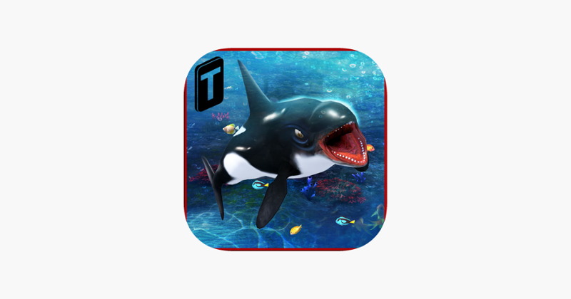 Killer Whale Beach Attack 3D Game Cover