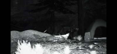 TRAILCAM Image