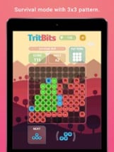 TritBits Image