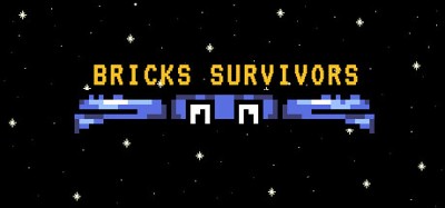 Bricks Survivors Image