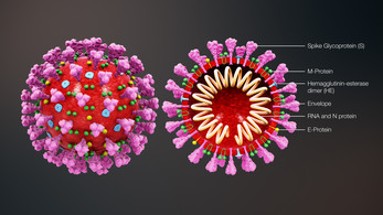Corona Virus - COVID 19 Image