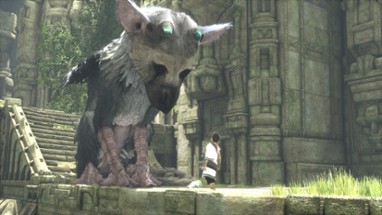 The Last Guardian Image