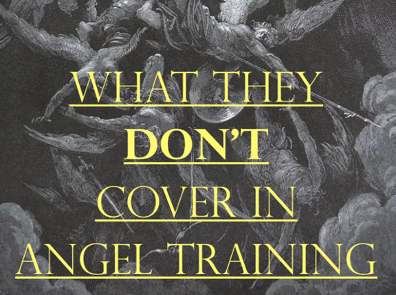 What They Don't Cover In Angel Training Game Cover