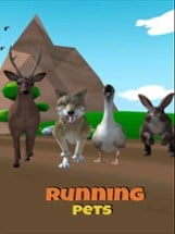 Running Pets Image