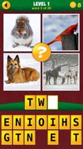 4 Pics: Find the odd word II Image