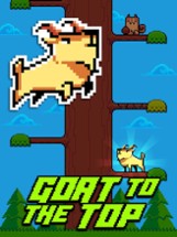 Goat Up! Mountain Goats Climb Timber Trees Image