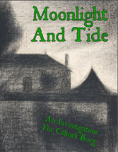 Moonlight And Tide Image
