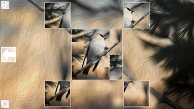 Puzzle Art: Birds Image