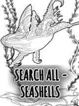 Search All: Seashells Image