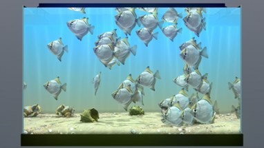 Behind Glass: Aquarium Simulator Image