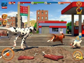 Street Dog Simulator 3D Image
