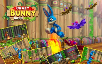Crazy Bunny Dash Run - Bunny Rabbit Game Image