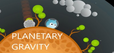 Planetary Gravity Image
