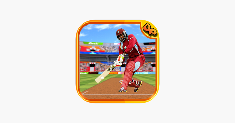 Cricket Fielding In Stadium Game Cover