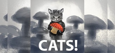 CATS! Image