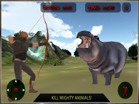 Bow Arrow Hunter Wild Animal Jungle Hunting Game Image