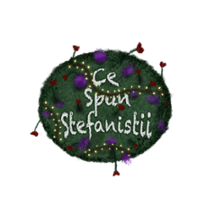 Ce spun Stefanistii? 2023 Image