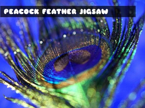 Peacock Feather Jigsaw Game Cover