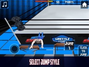 Wrestle Flash Stuntz Image