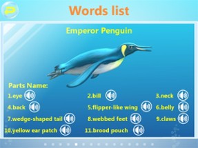 Amazing Ocean Animals- Educational Learning Apps for Kids Free Image