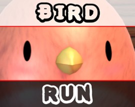 Bird Run Image