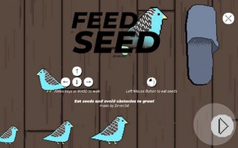 Feed the Bird a Seed Image