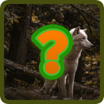 Guess The Animal game Image