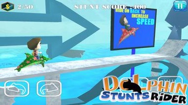 Dolphin Stunt Rider Image