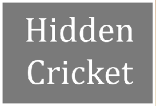 Hidden Cricket Image