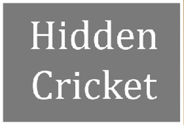 Hidden Cricket Game Cover