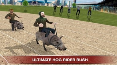 Hog Rider : Ride &amp; Race Pigs Image