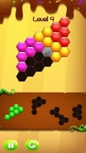 Merge Block - Hexa Puzzle Image