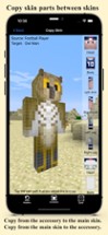 Skin Designer 3D for Minecraft Image