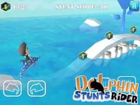 Dolphin Stunt Rider Image