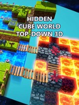 Hidden Cube World Top-Down 3D Image