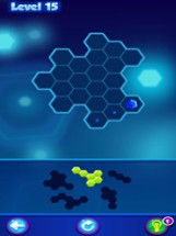 Physical Hexagons-Joy Puzzles Image