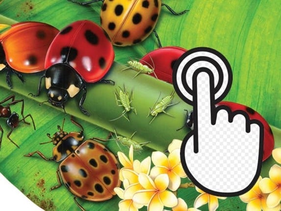 Ladybug Clicker Game Cover