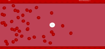 Blood Cell Image