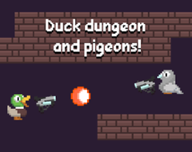 Duck dungeon and pigeons! Image