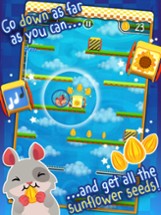 Hamster Roll - Cute Pet in a Running Wheel Platform Game Image