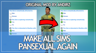 Make All Sims Pansexual Again Image