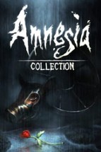 Amnesia: Collection Image