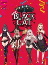 Black Cat Image